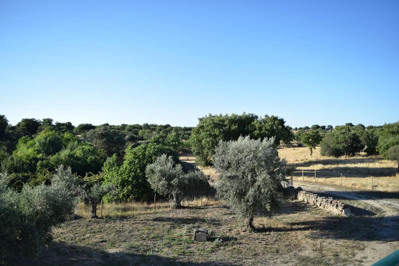 קאסטלו דה וידה Memsoares Country House מראה חיצוני תמונה