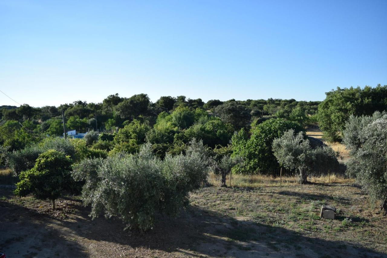 קאסטלו דה וידה Memsoares Country House מראה חיצוני תמונה